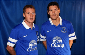 Gareth Barry and James McCarthy have played a key part for Everton this season